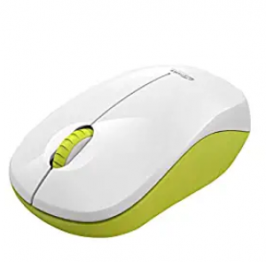 Portronics TPOR-987 Wireless Mouse